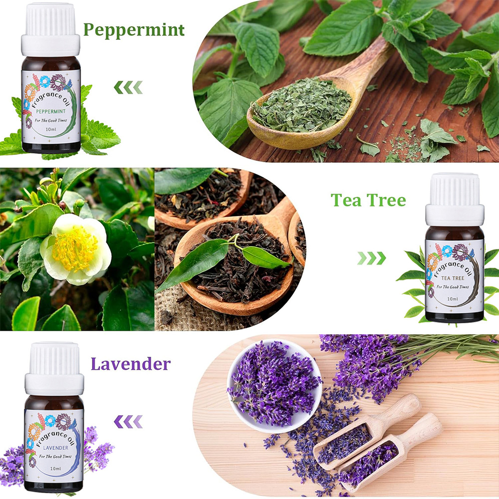 Ätherische Öle für Diffusoren  – Home Fragrance Lemongrass Bewertung und Preis