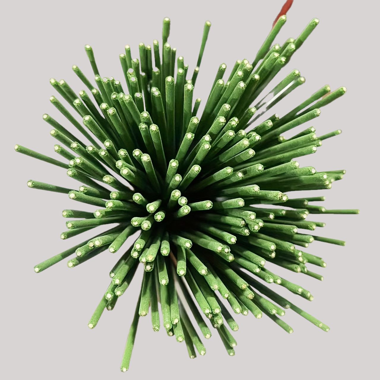 Reed Diffuser Sticks Zitroneng – Home Fragrance Lemongrass Bewertung und Preis