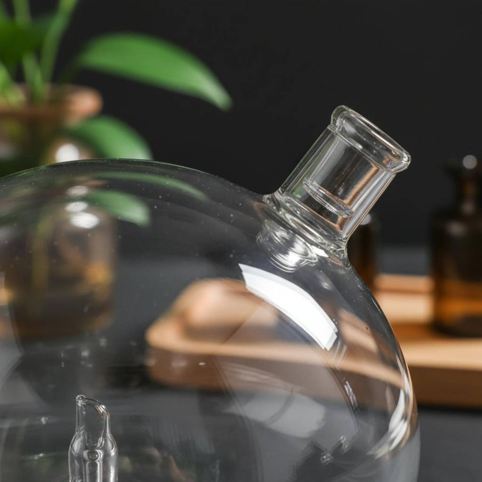 Diffusorflasche Universell Pas – Home Fragrance Bewertung und Preis